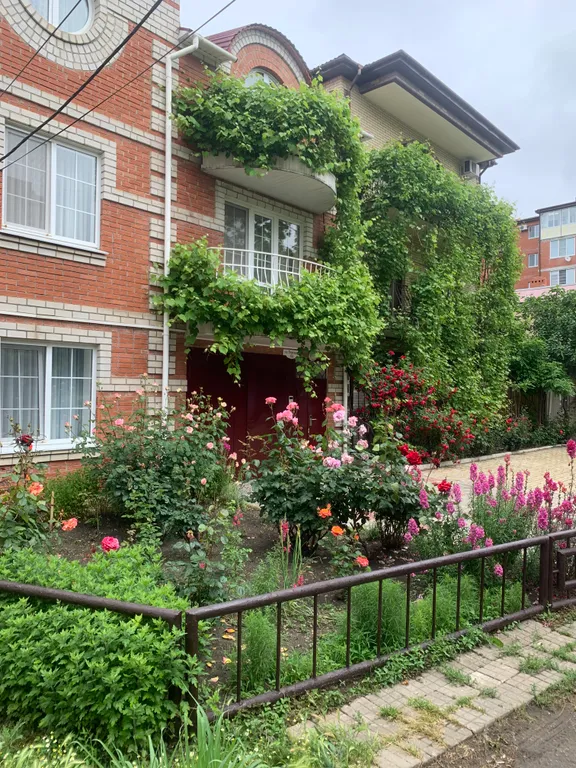 Комната в центре