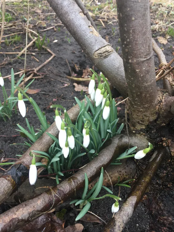 Дизайнерский домик