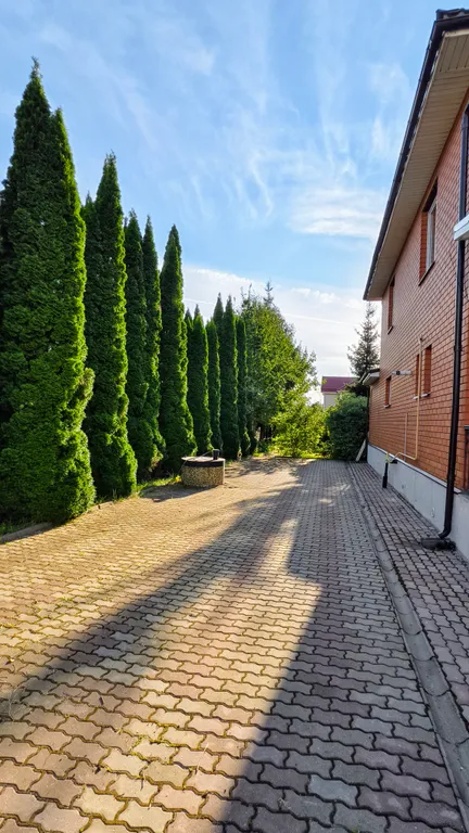 Романтика среди сосен!