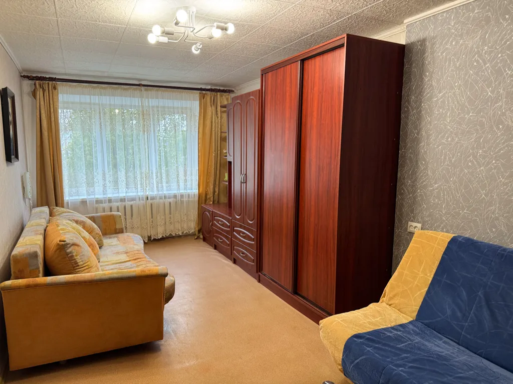 Уютная однокомнатная квартира в Янтарном