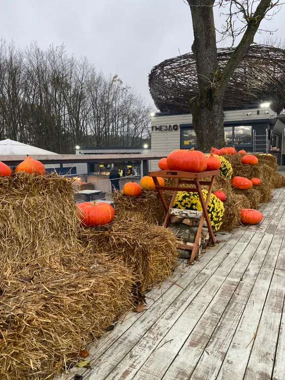 Коттедж с отдельным входом и видом на сад