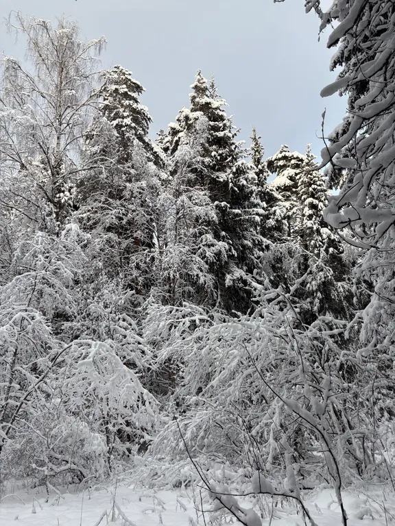 Дача в Заветах Ильича