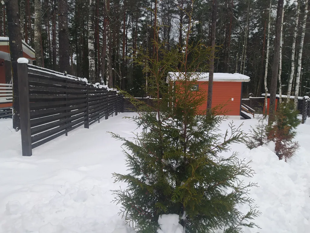 Коттедж Коттедж у леса — Снегиревка