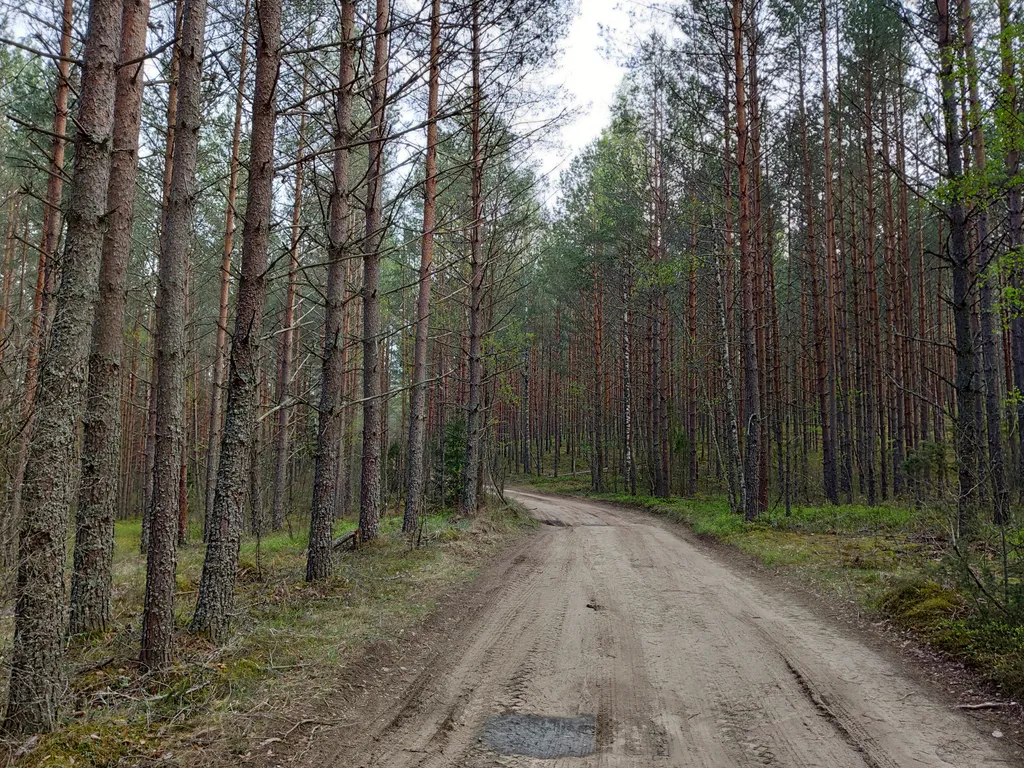 Дом в окружении леса, озёр и рек, около турбазы Алоль