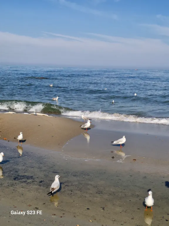 Новый стильный апартамент в шаговой доступности от моря