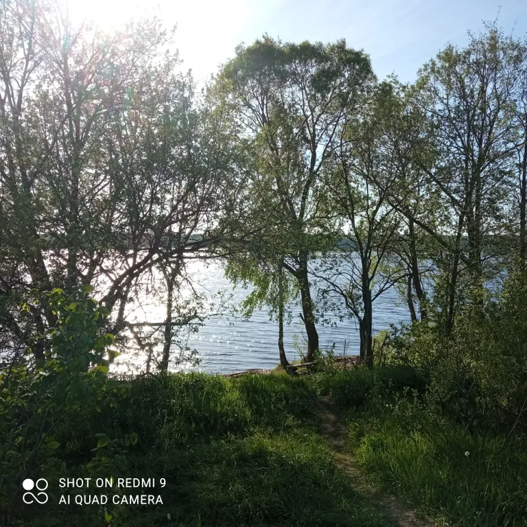 Дом с сауной у реки Волга