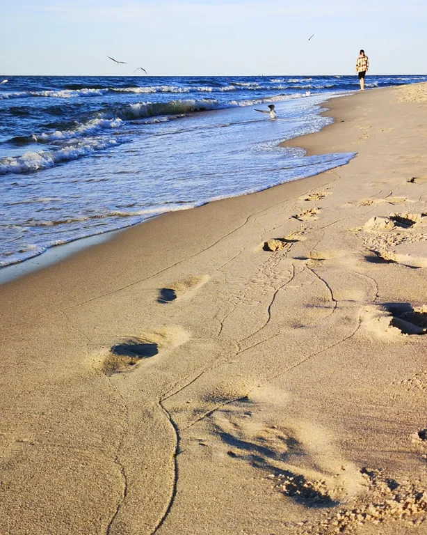 Квартира Квартира Просторный апартамент у моря — Зеленоградск