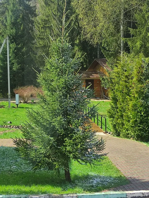 Бревенчатый коттедж Вип 1, 3 спальни на берегу озера Селигер