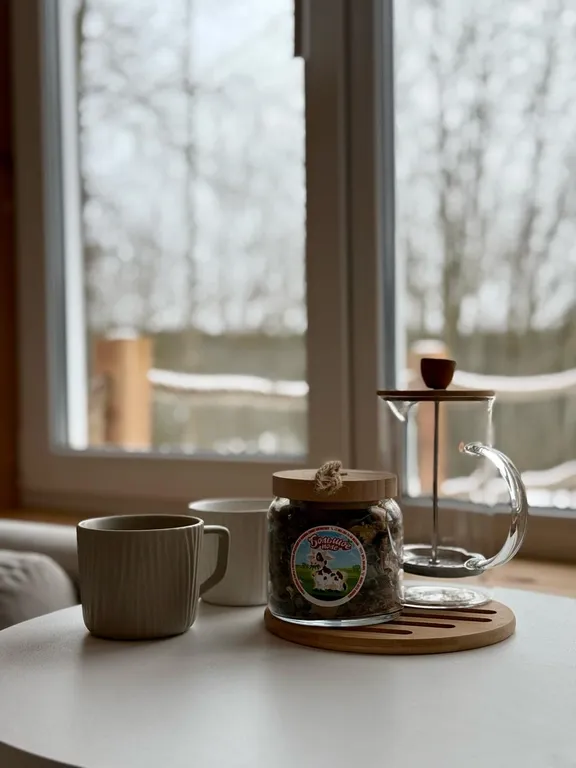 В гостях у природы