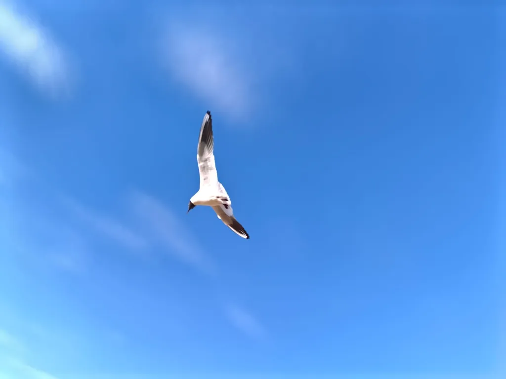 Премиальные апартаменты на берегу