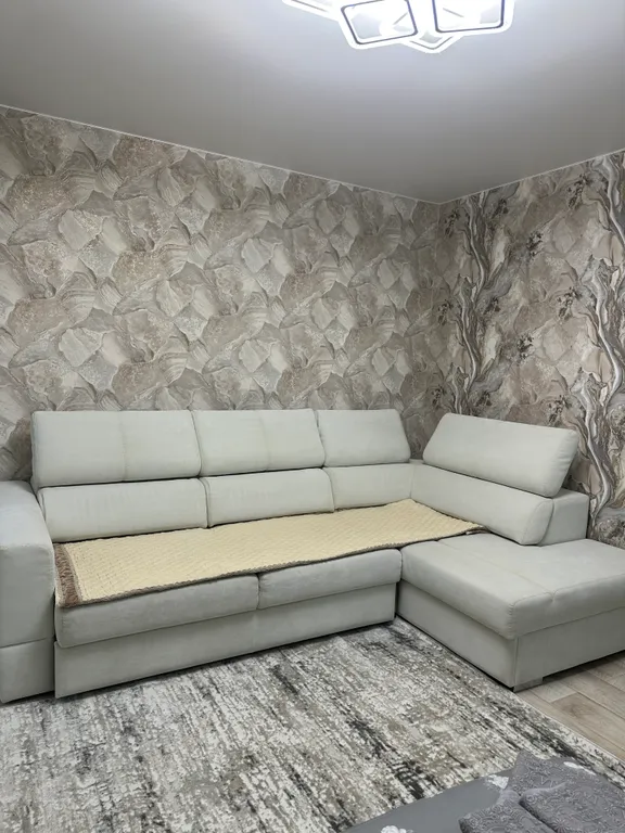 Большая светлая квартира в центре города