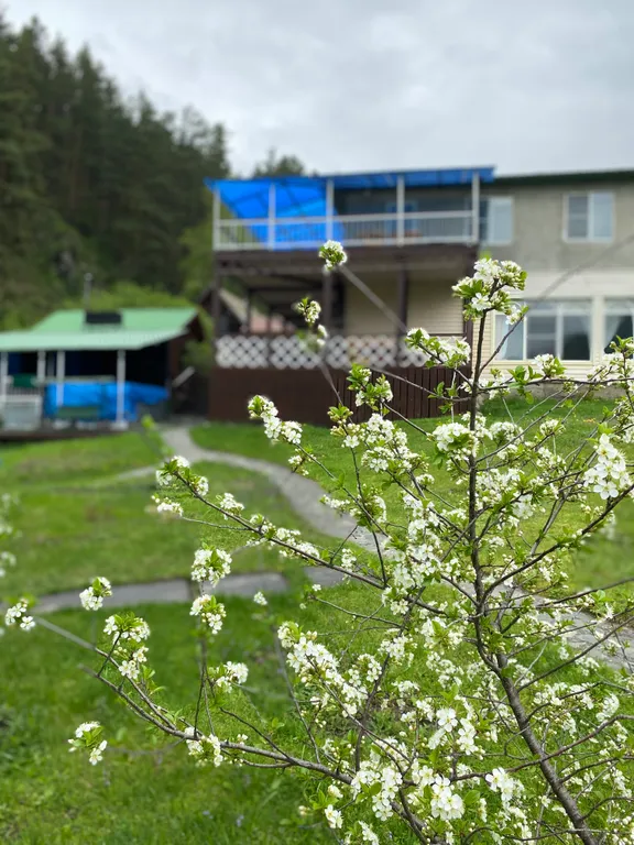 Коттедж для больших компаний на Алтае