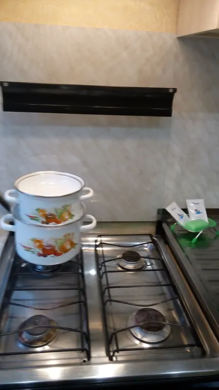 Уютная квартира между парком и озером