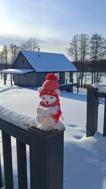 Современный дом на берегу озера в национальном парке Браславские озера