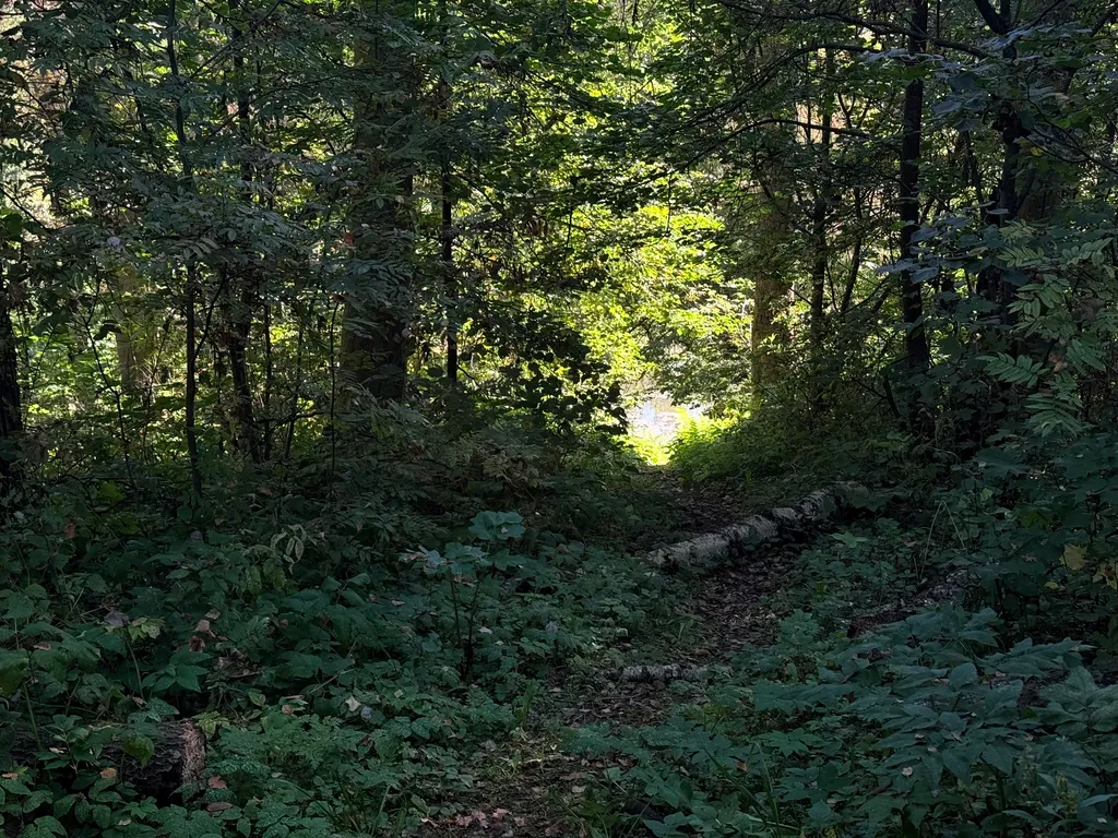 Дом с баней на Истринском водохранилище