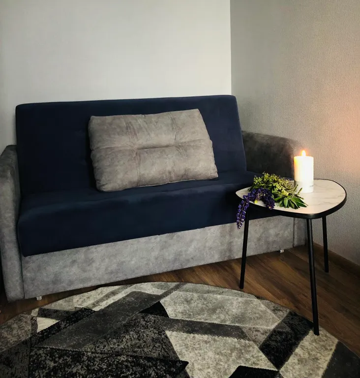 Квартира Апартаменты уютные — Светлогорск