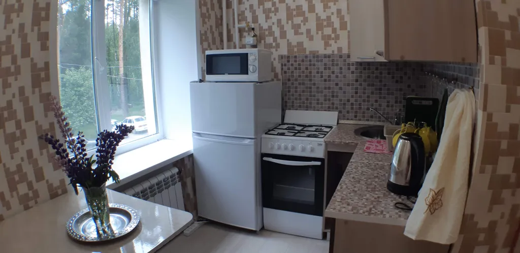 3-комнатные апартаменты у озера Лесная сказка