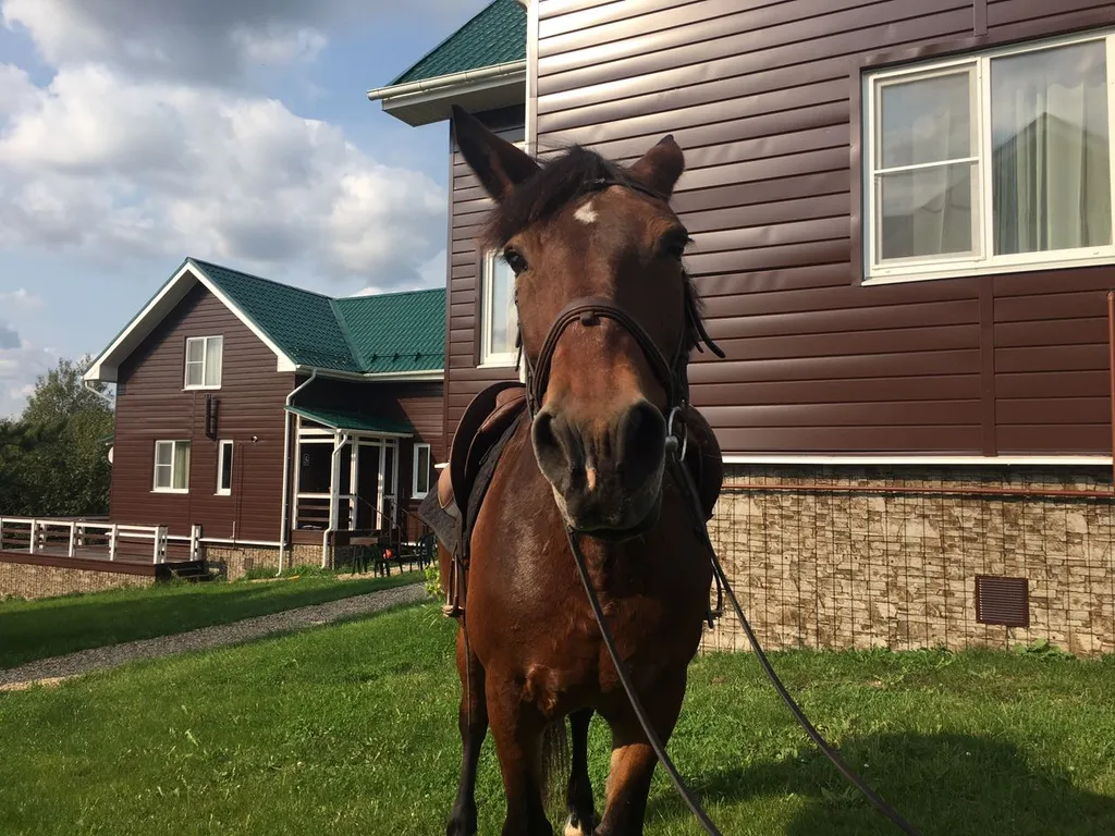 Коттедж с мангальной зоной