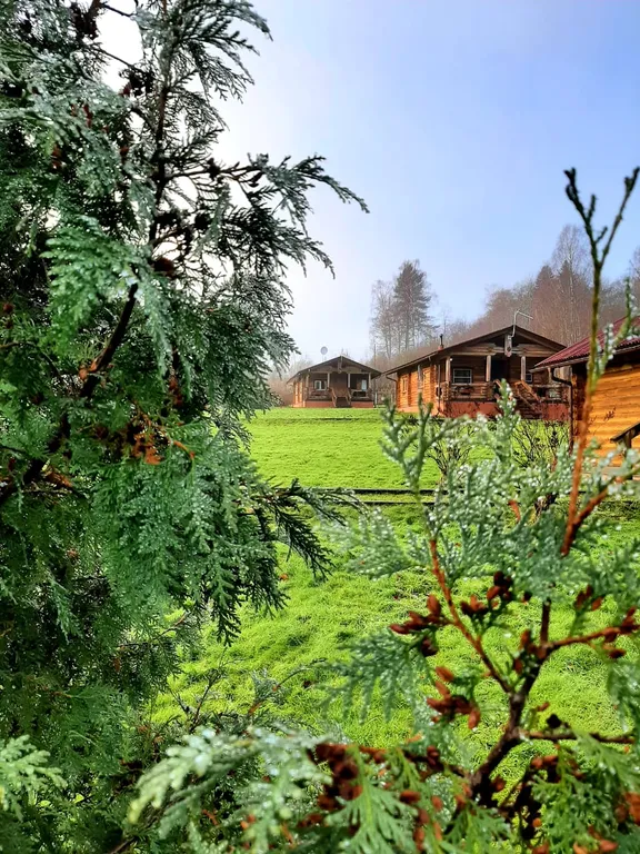 Уютный коттедж на самом берегу великолепного озера Ханкасъярви