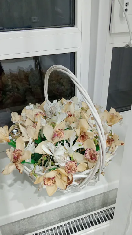 Уютная Евротрешка напротив Аквапарка Н2О