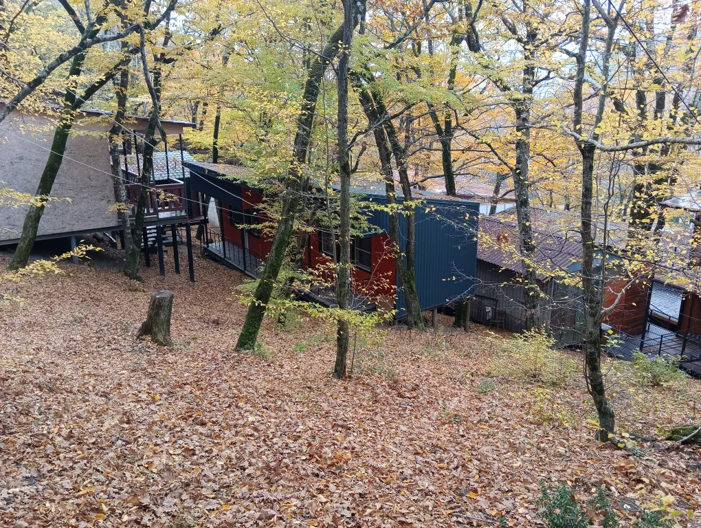 Двухместный эконом +1