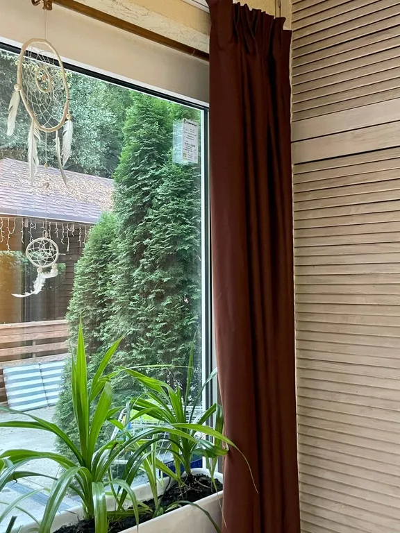 Уютные апартаменты с зелёным двориком