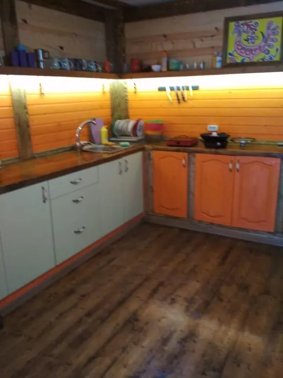 Большой дом для большой компании