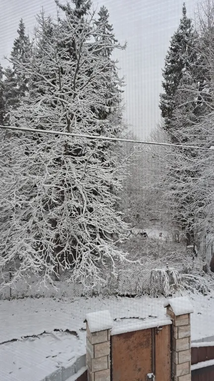 Коттедж Дом в лесу с баней и спортзалом — Горышкино