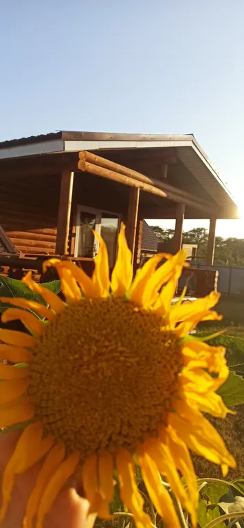 Сказочный дом для семейного отдыха