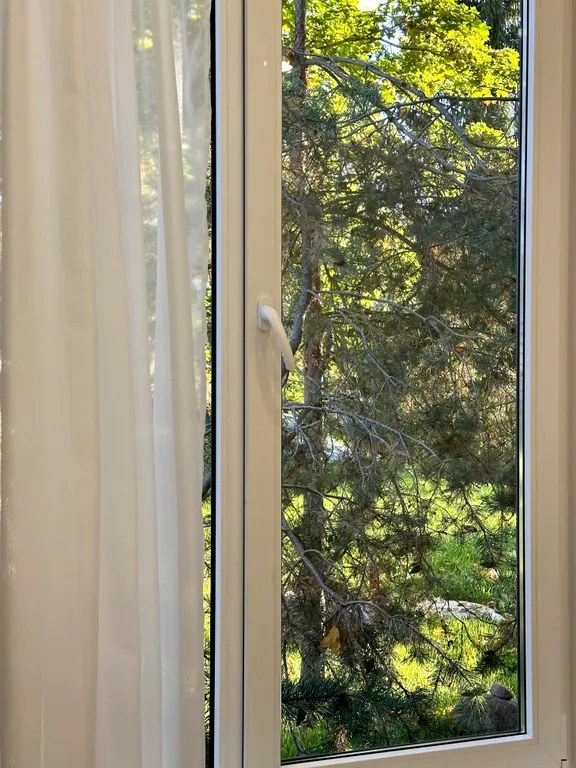 Коттедж Дом у озера с новогодней ёлкой и декором — Аннино