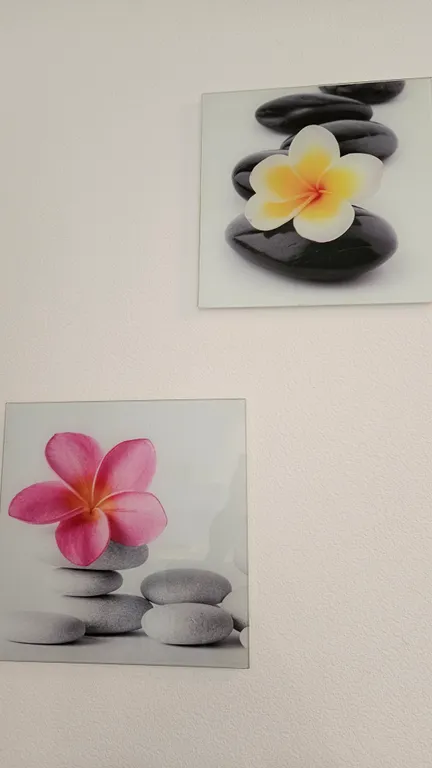 Уютная евродвушка около Медицинского центра Цыба