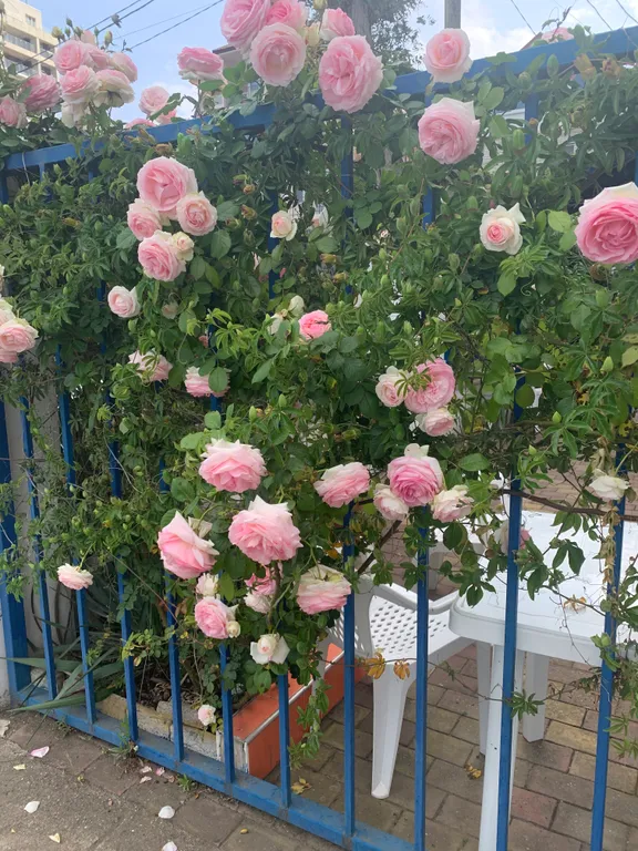 Квартира Квартира на берегу моря — Сочи