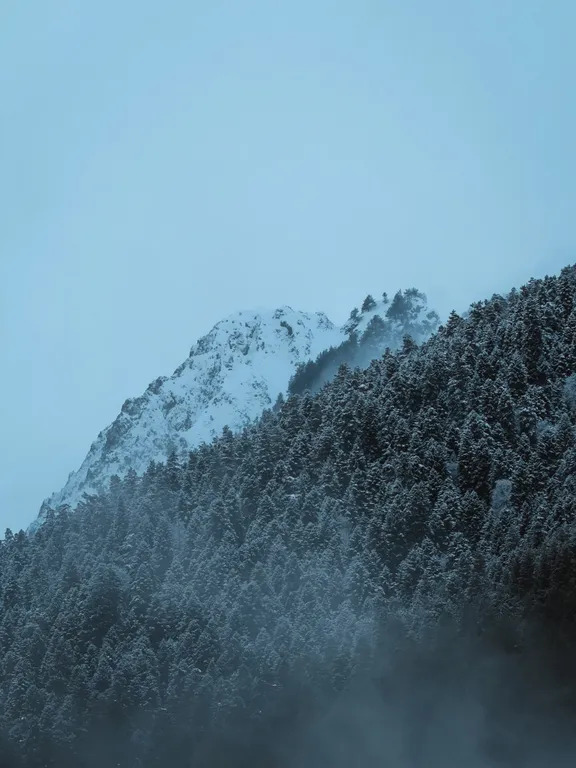 Коттедж Уютный эко-домик с видом на горы — Архыз