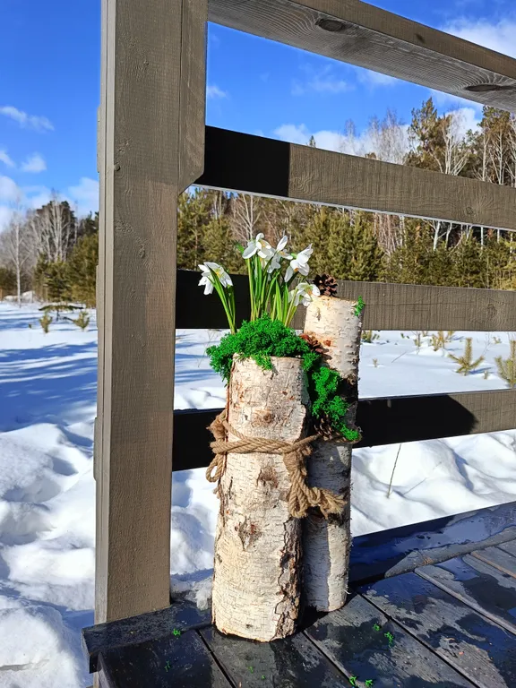 Темный домик на опушке леса