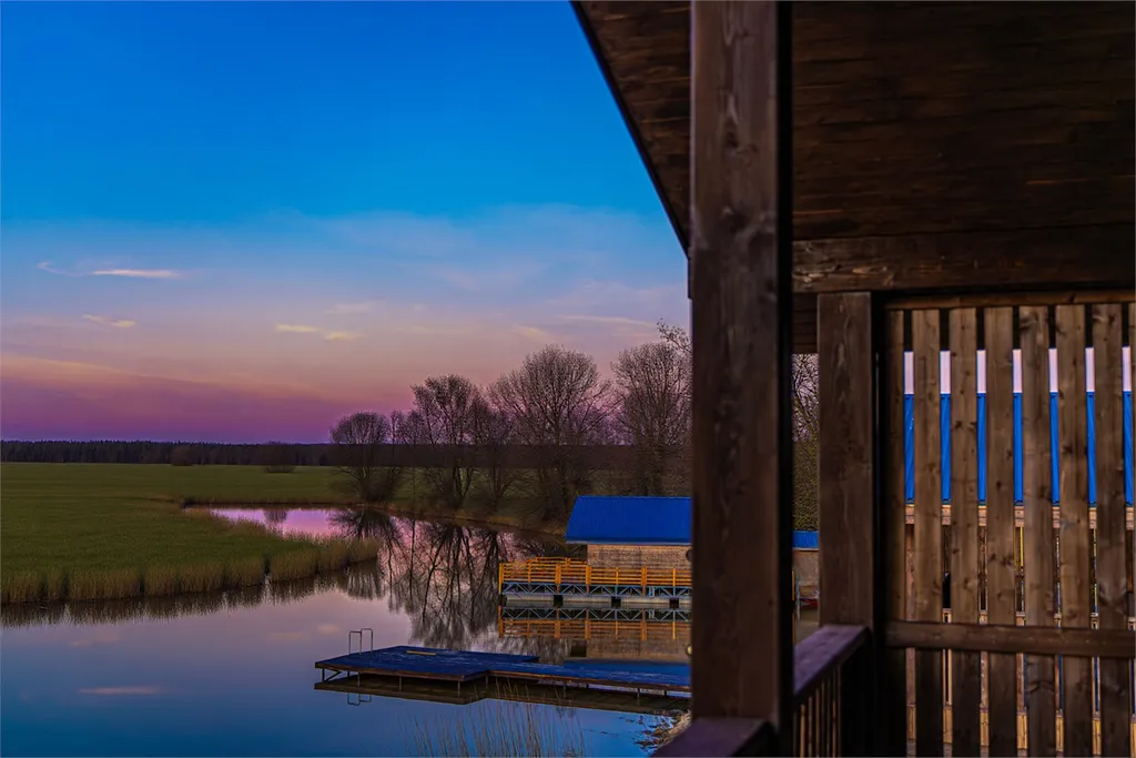 Pet-friendly дача для семьи