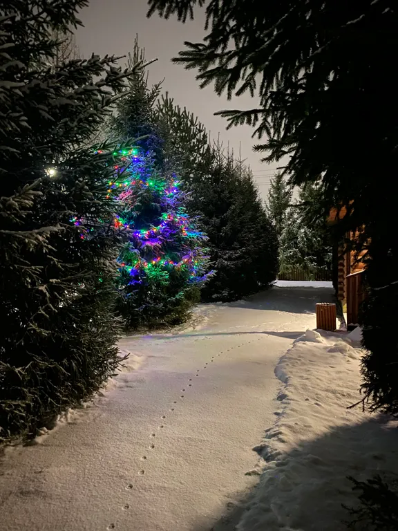 Дом для отдыха с камином, баней, оформлением к празднику