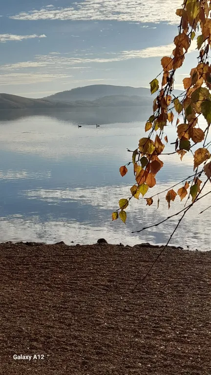 Уютная студия на курорте Банное