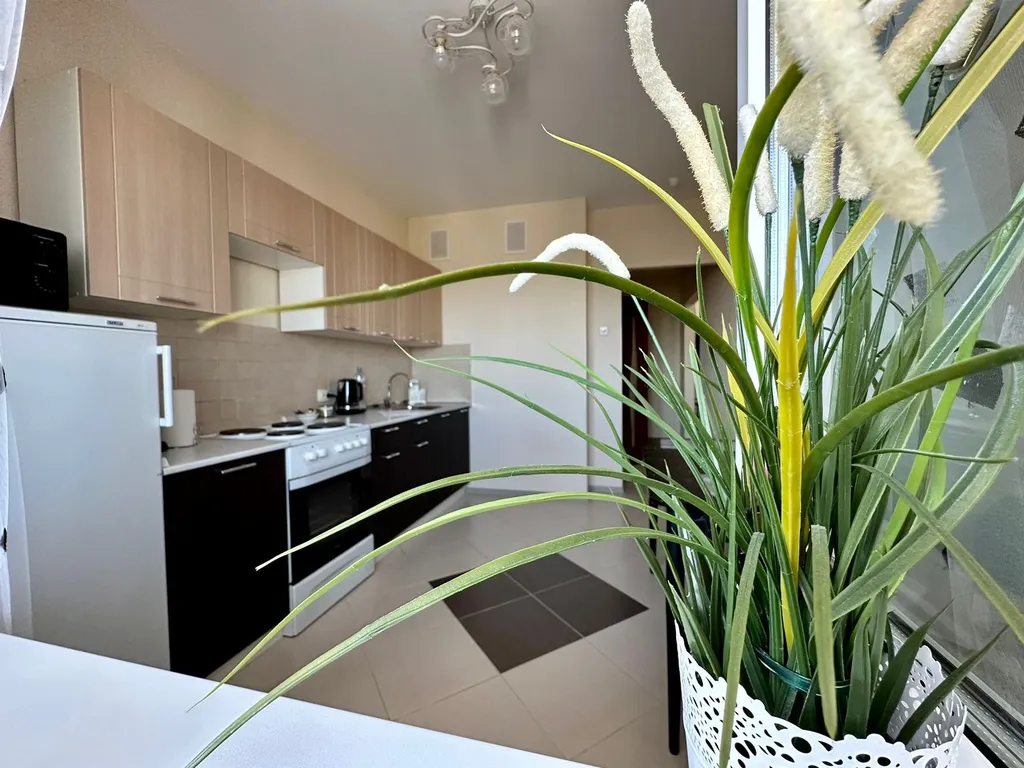 Квартира в центре города