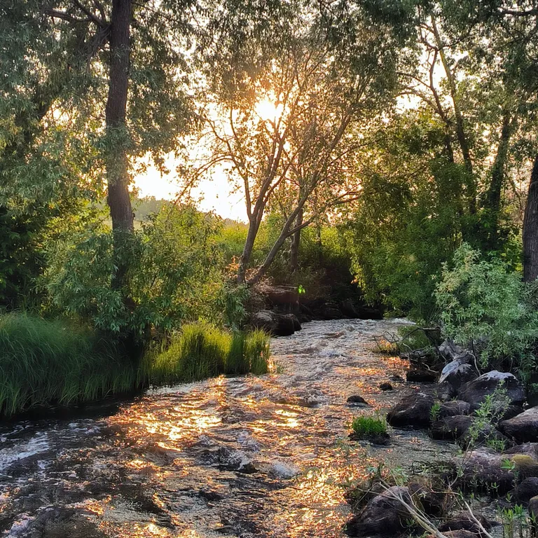 Дом на берегу озера с видом на лес