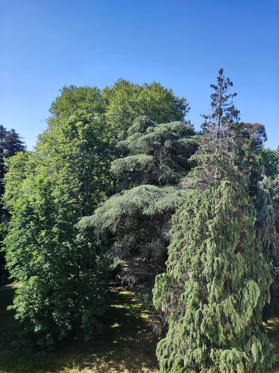 Квартира Квартира Студия в Парке № 3 — Сириус