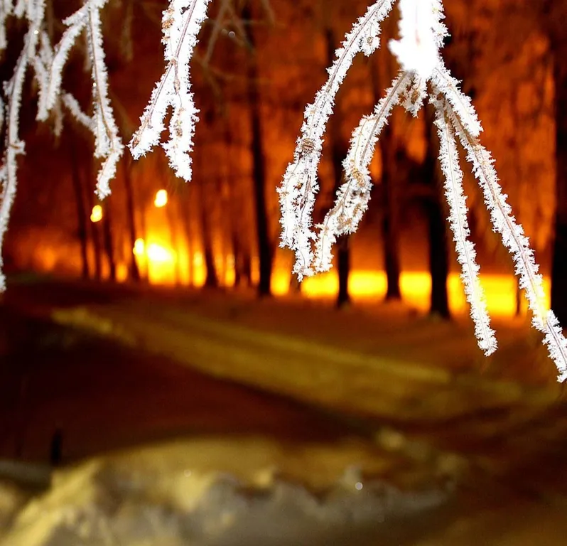 Дом до 11 человек