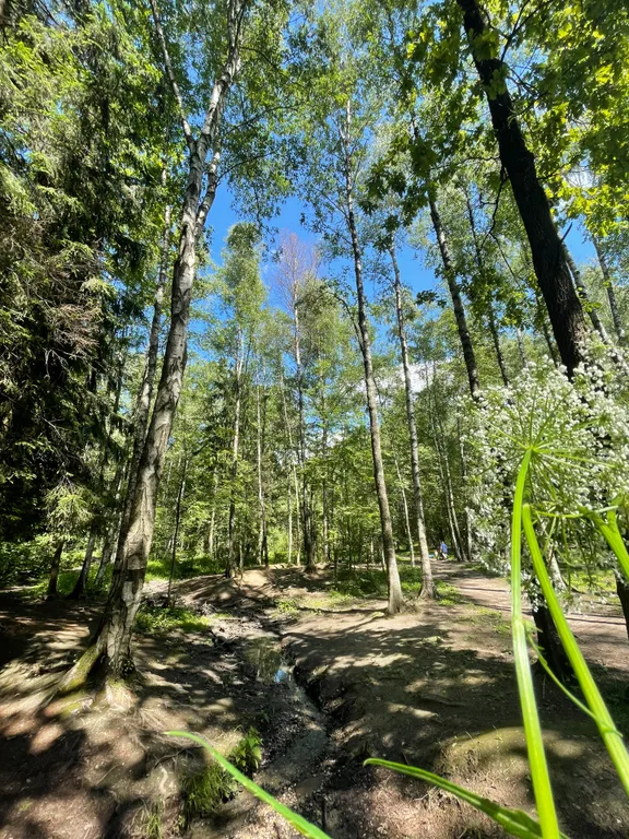 Студия для одного рядом со Сколково