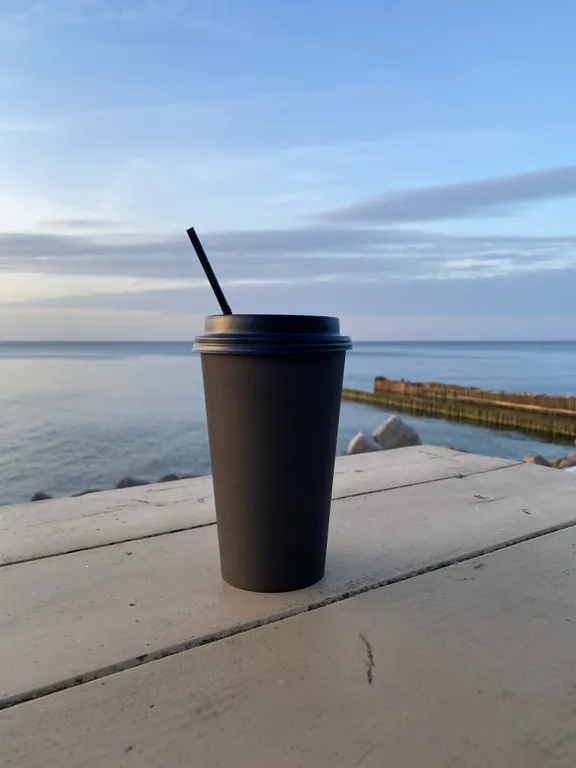 Квартира Уютная и светлая квартира рядом с морем — Светлогорск