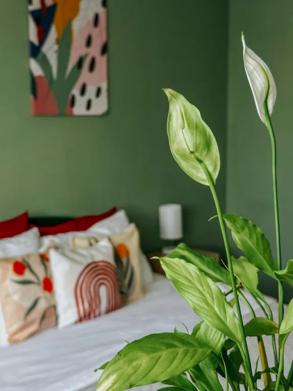 Романтическая 1-комн квартира с ретро-нотками — аренда посуточно в Красноярск