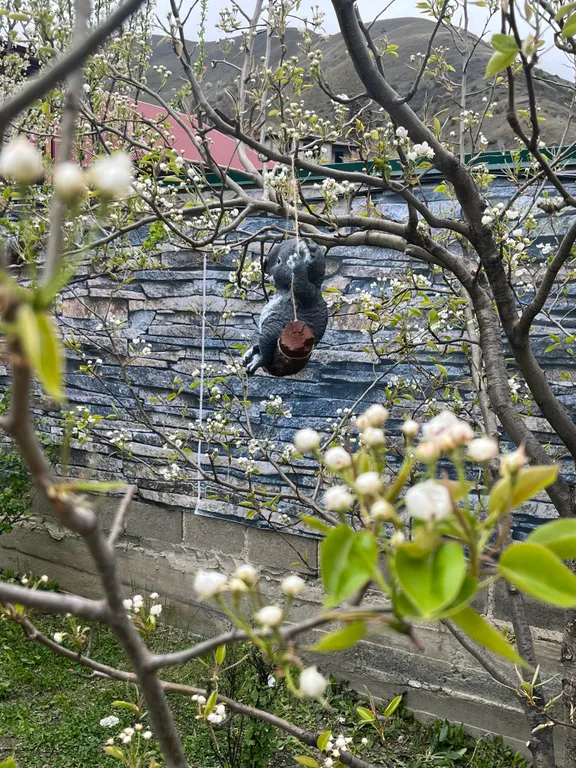 Домик у реки