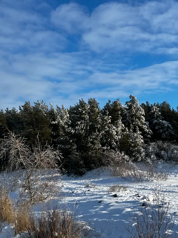 Апартамент на берегу Финского залива, 1 линия, Светлый мир внутри