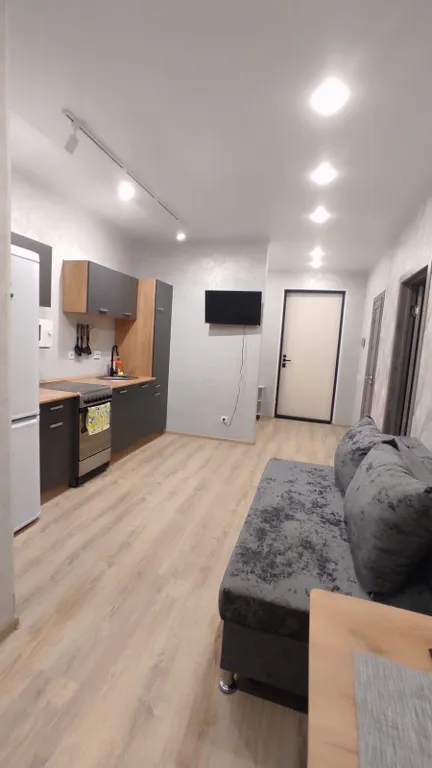 Loft-Корней, Нейро, Кристалл квартира