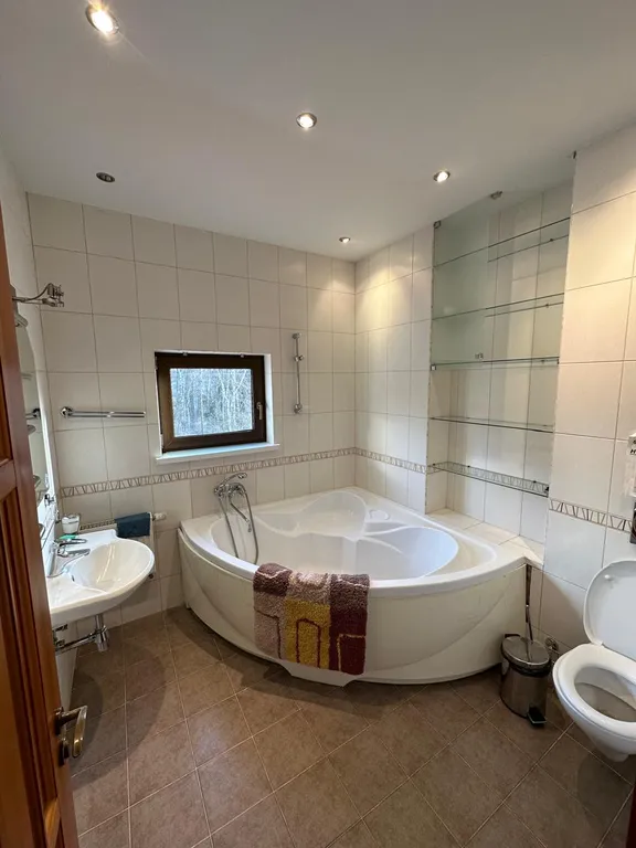 Дом с баней, бассейном и караоке