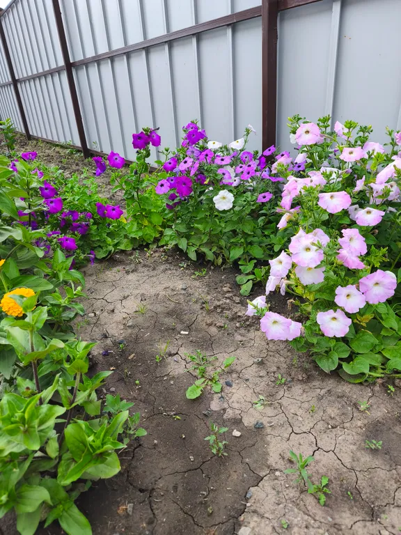 Уютный комфортабельный благоустроенный дом