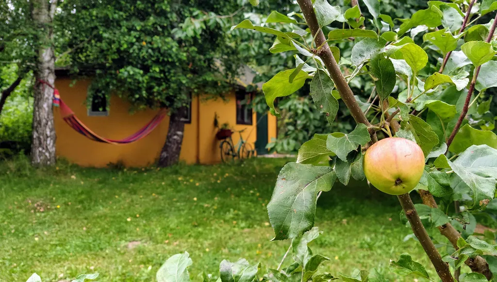 Коттедж Домик в яблоневом саду — Светлогорск